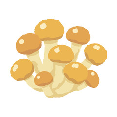 ナメコの手描き風イラスト