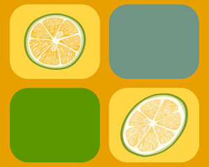 Lemon sliced on orange background. Food and drink decoration. Close up lime vector on white. Realistic food ingredient vector drawing.   