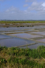 The small squares of the Guerande salt Marshes. Batz-sur-mer, France, spring 2021.