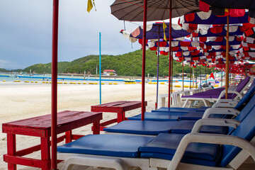 beach chairs and umbrellas on the beach