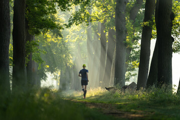 A man running in a lane of trees on a sunny, summer's morning.