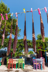 Octopuses hanging for drying in a tavern in the village of Sigri on the west coast of the Greek...