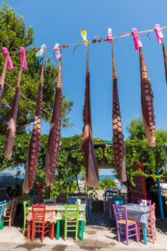 Octopuses hanging for drying in a tavern in the village of Sigri on the west coast of the Greek island of Lesbos in the North Aegean