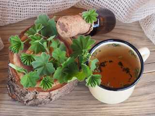 Fresh leaves of lady's mantle herb, herbal tea, tincture in a bottle on a wooden table, flat...