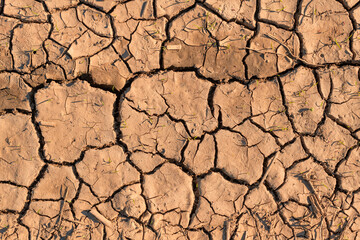 Drought background, texture of dry mud with cracks