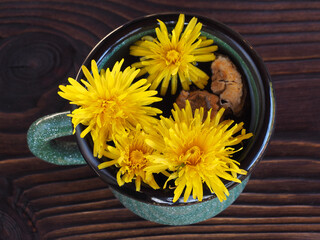 Dandelion grass root and flowers, herbal tea in a mug on a dark wooden table, flat layout. Medicinal plant taraxacum with vitamins for use in food, medicine, homeopathy and cosmetology