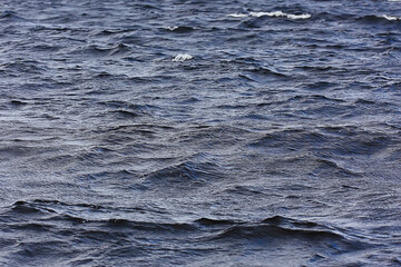 dark sea ripples background aqua waves texture, marine abstract, ocean wind