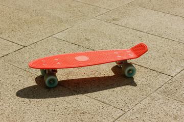 penny board on the asphalt. small plastic skateboard. pink penny Board with blue wheels