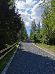 A pedestrian gravel path among trees with lanterns and fencing in the Ruskeala Mountain Park on a sunny summer day.