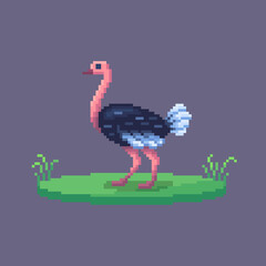 Pixel art ostrich. Farm animal for game design.