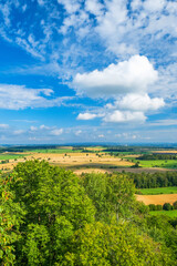 Naklejka premium Landscape view at a cultivated landscape with lush foliage trees