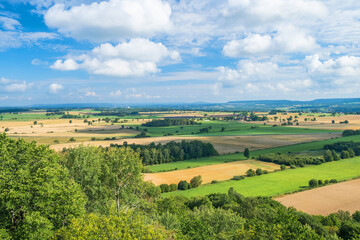 Fototapeta na wymiar Cultivated landscape view in a rural area