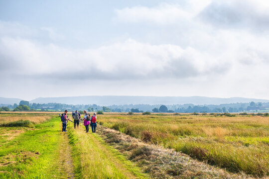 Group of people on an excursion in a rural meadow landscape