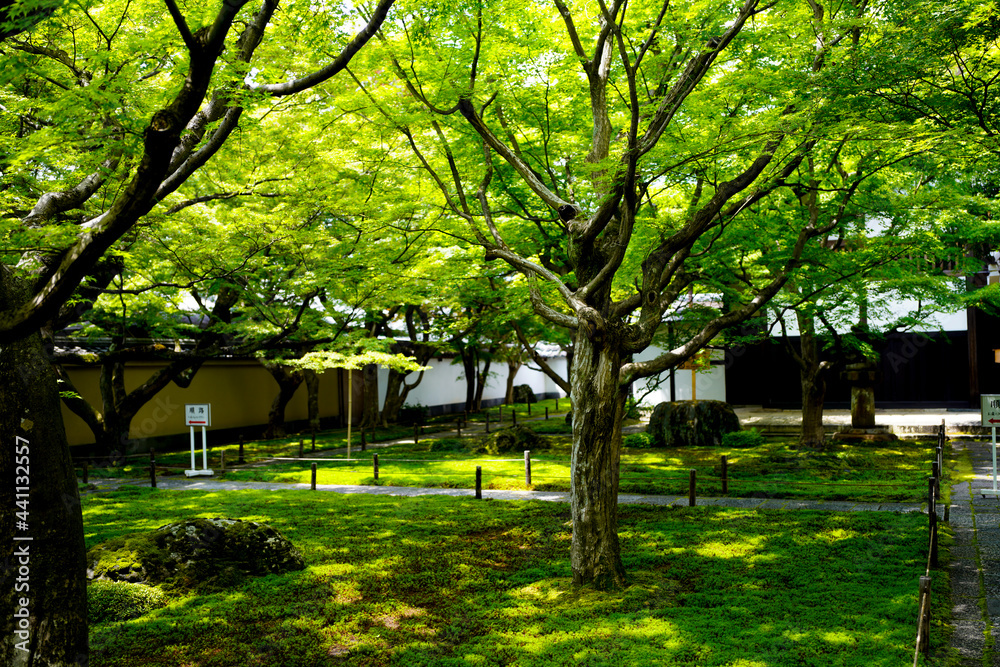 Poster Oubai-in Temple in Kyoto.