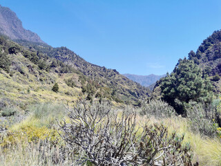 Hiking routes in the national park 