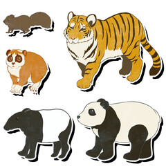 アジアの動物①ラフ白フチ