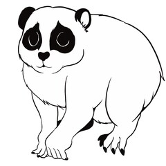 スローロリス①線画
