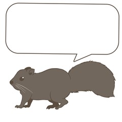 タイワンリス①ふきだし