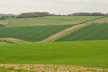 Countryside near Shoreham, Sussex, England