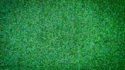 green grass texture background with copy space