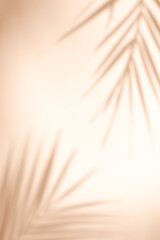 Shadow overlay effect. Shadows of tropical palms and leaves on a beige wall in sunlight. Soft sunshine. Blank frame for design