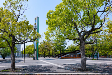 ケヤキの新緑に囲まれた代々木公園イベント広場