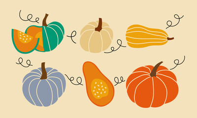 Set of different pumpkins, different colors and shapes with decorative elements. Vector illustration. All elements are isolated.