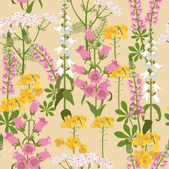 Seamless vector illustration with field bells, lupine and yarrow on beige background.