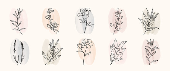 Minimal botanical hand drawing design for logo and wedding invitation. Floral line art.  Flower and leaves on watercolour background design collection for bouquets decoration, invite, packaging design