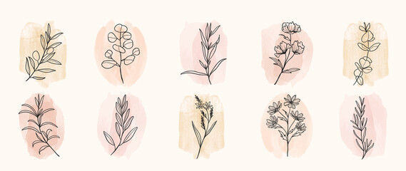 Minimal botanical hand drawing design for logo and wedding invitation. Floral line art.  Flower and leaves on watercolour background design collection for bouquets decoration, invite, packaging design