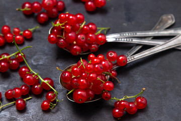 Red currants in a teaspoon on a black background. Lots of ripe red currants. Delicious berry.