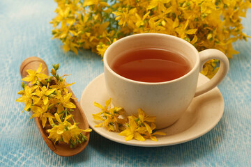 Infusion of Saint John's wort. Hypericum perforatum.