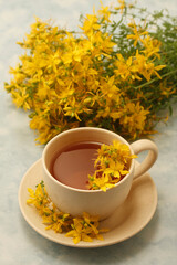 Infusion of Saint John's wort. Hypericum perforatum.