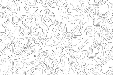 Stylized topographic contour map. Geographic line mountain relief. Abstract lines or wavy backdrop background. Cartography, topology, or terrain path concept. Vector illustration