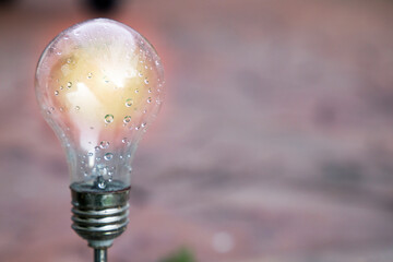 garden light bulb lit as an idea