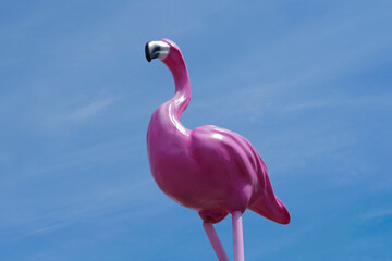 flamand rose plan large