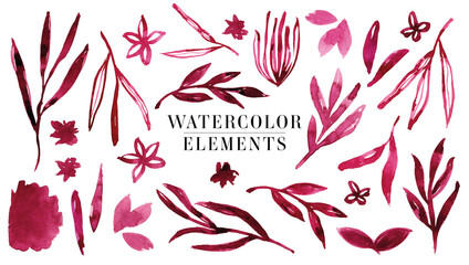 Watercolor vector element illustrations. Collection of separate, different botanical shapes like leaves, grass and flowers artwork without background
