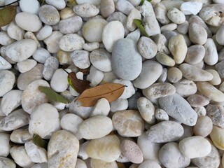 Fototapeta premium pebbles on the beach