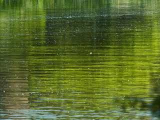 Abstract background made up of the reflection of trees, buildings and sky in Hampstead Ponds, broken up and fractured into striations by ripples.