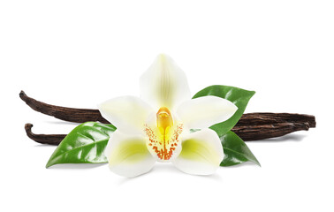 Fototapeta na wymiar Dried aromatic vanilla sticks, beautiful flower and green leaves on white background