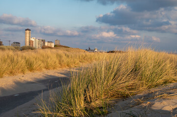 Dunes and view on Vlissingen city with sandy beach on sunset