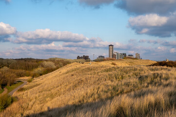 Dunes and view on Vlissingen city with sandy beach on sunset
