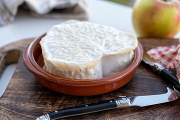 Cheese collection, French cheese from Normandy region, heart-shaped neufchatel