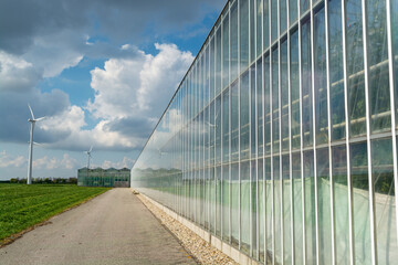 Obraz na płótnie Canvas Agriculture in Netherlands, big glass greenhouses used for growing organic vegetables and fruits, Zeeland