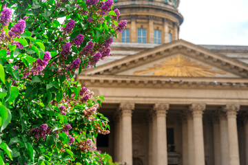 Beautiful panorama of the Kazan Cathedral in St. Petersburg in the summer, postcard tourist view