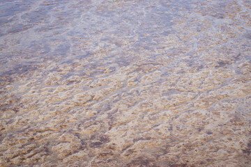 Wattenmeer bei Ebbe