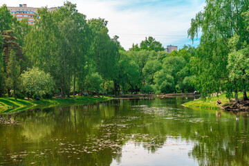 Fototapeta na wymiar Beautiful green park with pond