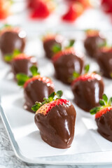 Chocolate dipped strawberries