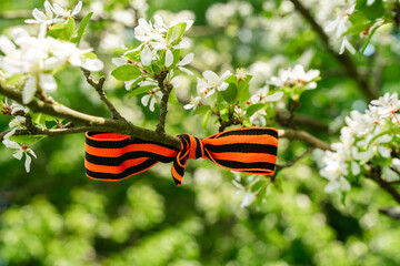 St. George's ribbon as a symbol of victory on the spring branch Holiday concept
