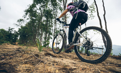 Plakat Woman cycling on mountain top forest trail